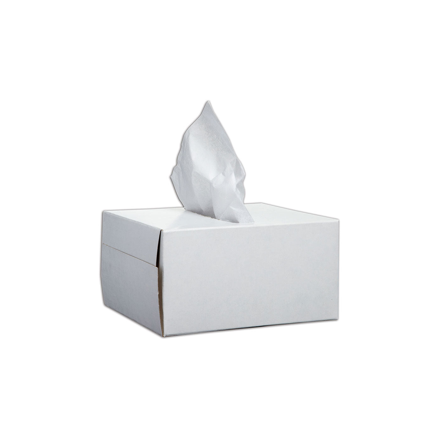 Lens Cleaning Tissues - 300 per Box