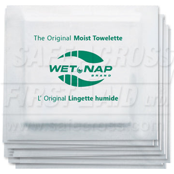 Hand Cleansing Moist Towelettes, 100/Bag